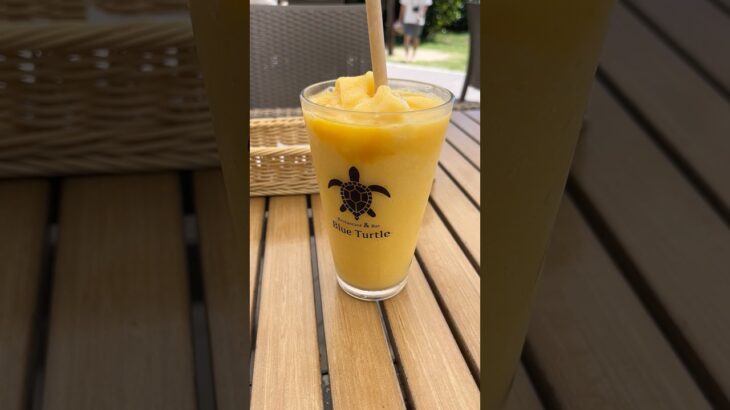 2023年 宮古島　ブルータートル！マンゴージュース最高に美味しい😋絶対飲むべき！カフェ前の海も最高！