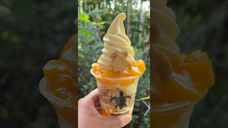 2023年 宮古島　ブルータートル　マンゴーカフェ！マンゴー半端なく美味しい😋宮古島最高です！