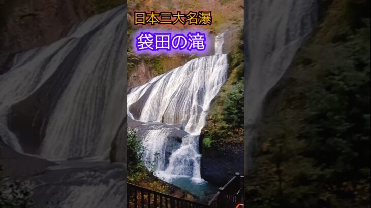 【袋田の滝】茨城県大子町 🍁紅葉の滝 圧巻✨夜のダイゴライト #日本三大名瀑 #紅葉 #茨城県  #観光名所 #滝めぐり #ダイゴライト