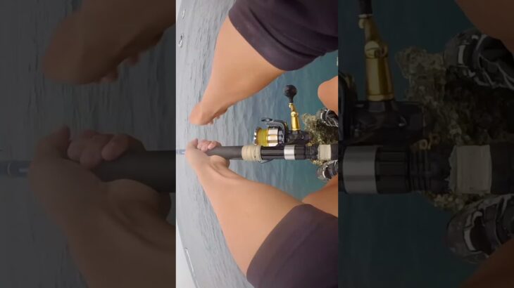 2023年 これぞ宮古島