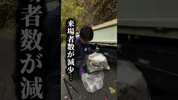 茨城県高萩市の花貫渓谷紅葉まつりを盛り上げます! #茨城県