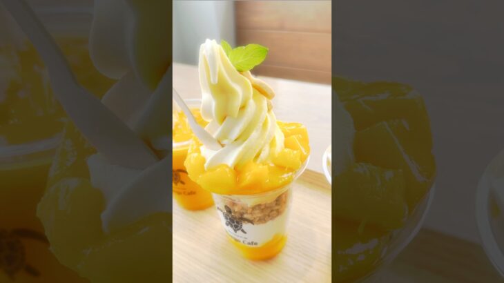 2023年 宮古島押さえておくべき人気カフェ・スイーツを教えるね