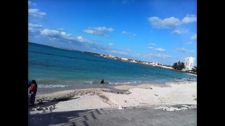 2023年 宮古島　海