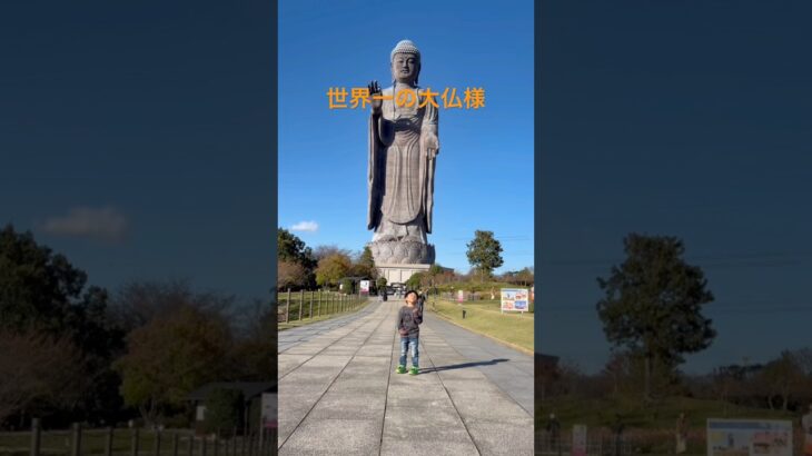 世界一の大仏様、牛久大仏へやって来たよ！茨城県。