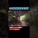 2023年 【宮古島観光】冬の宮古島旅行でグルメと観光スポット巡り！ #旅行vlog #宮古島 #宮古島旅行