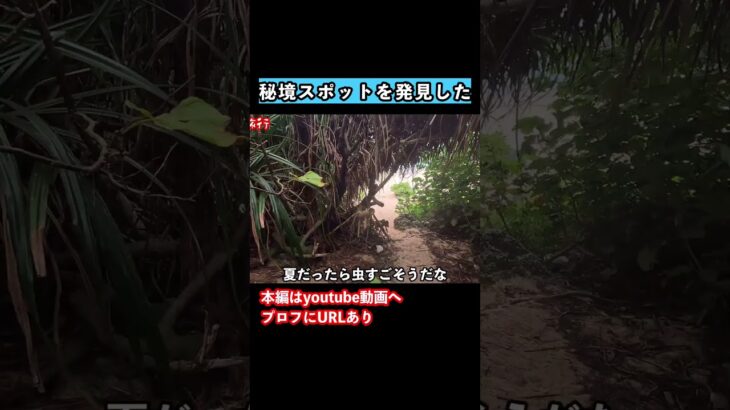 2023年 【宮古島観光】冬の宮古島旅行でグルメと観光スポット巡り！ #旅行vlog #宮古島 #宮古島旅行