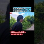 2023年 【宮古島観光】冬の宮古島旅行でグルメと観光スポット巡り！ #旅行vlog #宮古島 #宮古島旅行