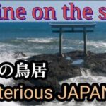 絶景 神秘的！ 海に建てられた鳥居がすごかった　茨城県大洗町の神社を参拝する　大洗磯前神社　神磯の鳥居　茨城観光