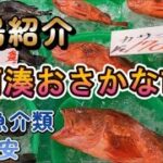【那珂湊おさかな市場】2022　新鮮魚介！人気の観光スポット！手ぶらで大丈夫　散歩動画