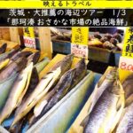 茨城のお勧め海辺観光。那珂湊おかさな市場を巡ります。寿司も絶品！