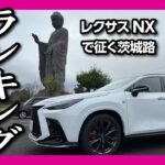 【ランキング最下位?!】レクサスNX350で往く茨城路! 牛久大仏･あんこう鍋･納豆など茨城県の魅力を探る! | LEXUS NX350 F SPORT【車旅】