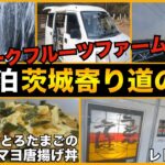 【車中泊】茨城寄り道の旅！懐かしのレトロ自販機！RVパークフルーツファーム豊田園　ふわとろたまごのマヨ唐揚げ丼を作る！