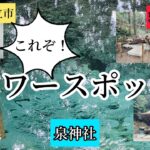 茨城県日立市　茨城百景パワースポット！水みくじ♪「泉神社」