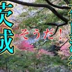 【茨城旅行】ドライブひとり旅！高萩市　紅葉の花貫渓谷歩き方　汐見滝吊り橋までの散策ルート