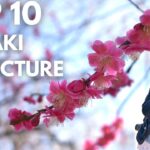 10 Things To Do in Ibaraki Prefecture | Japan