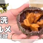 【茨城】生牡蠣が100円！ウニは200円！？コスパ最強食べ歩き！【那珂湊おさかな市場】