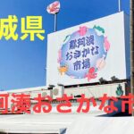 2月13日 茨城県那珂湊おさかな市場（開運こまち組)