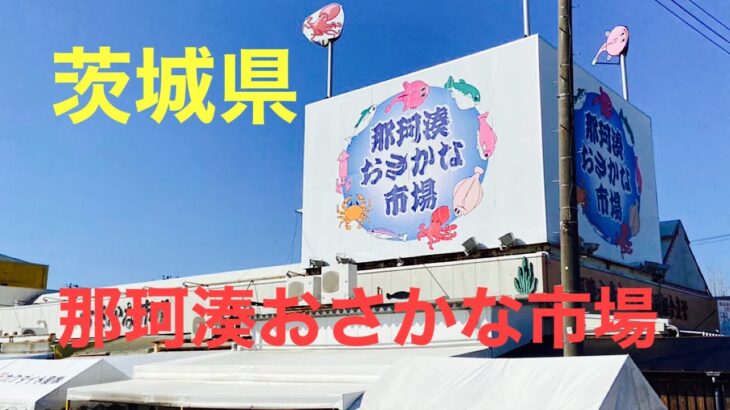 2月13日 茨城県那珂湊おさかな市場（開運こまち組)