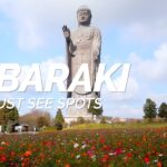 All about Ibaraki – Must see spots in Ibaraki | Japan Travel Guide