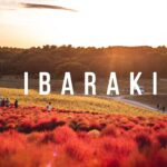 Exploring IBARAKI 茨城 | JAPAN CINEMATIC TRAVEL VLOG