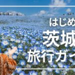 【旅行ガイド】納豆だけじゃない！茨城の観光スポットやご当地グルメをざっくり紹介します｜IBARAKI Travel Guide