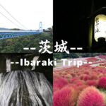 【Vlog】Vlog#6/茨城/コキア/袋田の滝/竜神大吊橋/旅/旅行/カップル