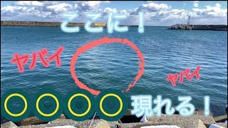 【茨城県釣り】今回の釣り旅行は、魚よりも大きな物を得れました