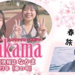 季刊情報誌nakama 141 春の号 ダイジェスト版 茨城トヨタ