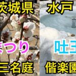 茨城観光、偕楽園！梅と湧水パワースポット吐玉泉を見学！！茨城県水戸市