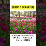 ネモフィラ＆藤の花の自然を楽しむ 茨城・栃木おすすめ写真映えツアー