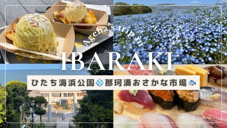 【週末旅行】茨城日帰り旅| Ibaraki trip🍠| 満開のネモフィラ💠那珂湊おさかな市場🐟絶景パワースポット⛩