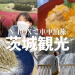 【茨城】大人気の限定モンブランが絶品‥！オープン前から行列ができる道の駅。