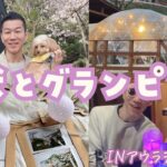 【関東グランピング】愛犬と桜グランピングvlog 〜アウラテラス茨城〜