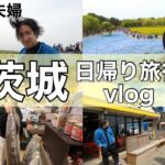 【茨城旅行】海鮮グルメとネモフィラを見にいくなりき誕生日の日帰り茨城旅行【旅行vlog】