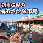 初夏の【那珂湊おさかな市場】2023　生ガキにフランク食べ歩きが楽しいよ！！
