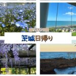 【茨城】水戸・日立・大洗エリアをぶらりVLOG【観光】