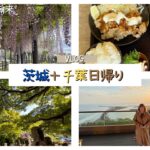 【茨城・千葉】潮来・香取・東庄・旭・銚子を巡るVLOG【観光】