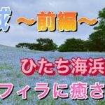 【茨城 前編】ネモフィラに癒される　ひたち海浜公園〜ゆる車中泊〜