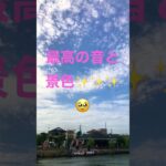 伝統のあやめ祭り✨#あやめ祭り #茨城県 #茨城　#潮来市　#short #shortvideo #shorts