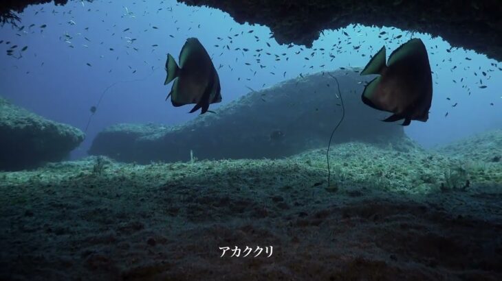 2020/08海遊紀行 宮古島 01白鳥崎