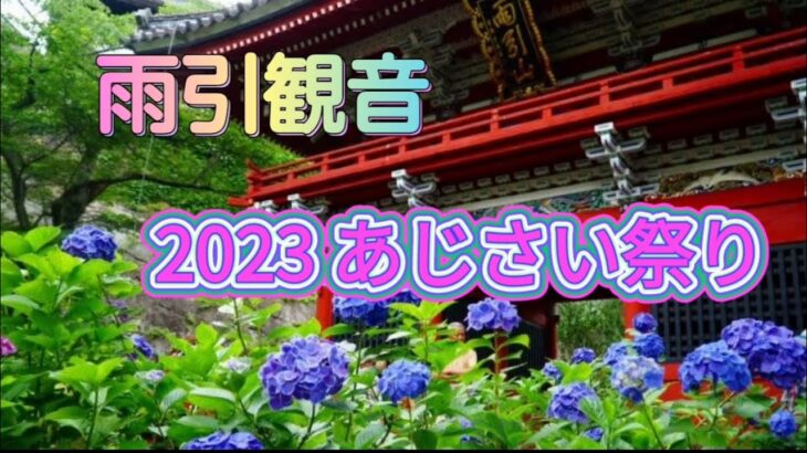 雨引観音　　　　　　　　　　　　　2023年 あじさい祭り　　　　　　　　　　　　　　　　茨城県花絶景！　　　　　　　　　　　　　　　　　　　　　　　　　　　　　