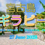 【宮古島】2023/06/27シギラビーチ シュノーケリング【沖縄】