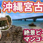 【沖縄絶景巡り】宮古島でビーチとマンゴー！まさに天国です！【2023年6月#3】