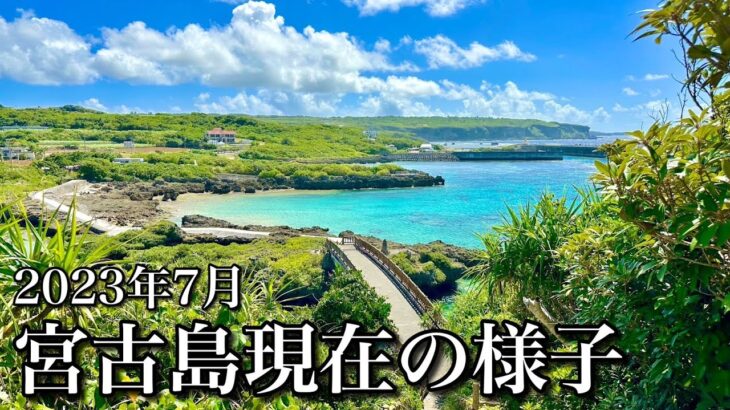 【夏休み】沖縄・宮古島｜2023年7月の様子をお届けします！