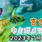 2023,7月宮古島☀ウミガメツアー🐢ご案内🌊宮古ブル〜が半端ない💙