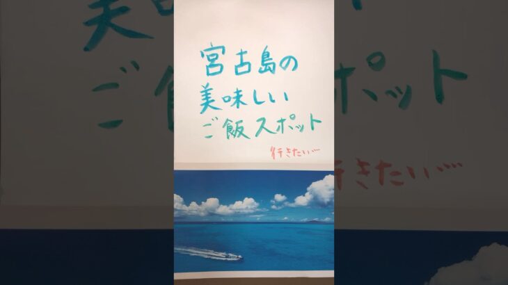 2023年 宮古島の美味しいご飯スポットを紹介します。 #アラフォー #40代女性 #声のみ #北海道 #宮古島#美味しい店