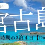 【宮古島】２歳子連れ旅DAY①　スカイマーク羽田下地島便で３泊４日