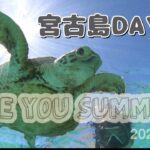 2023年 宮古島Vlog ウミガメに会えた♡新城海岸からシギラビーチわたしの想いもぜひ知ってもらえればいいな
