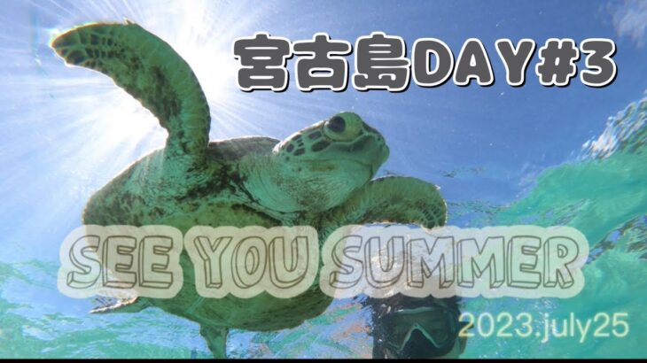 2023年 宮古島Vlog ウミガメに会えた♡新城海岸からシギラビーチわたしの想いもぜひ知ってもらえればいいな