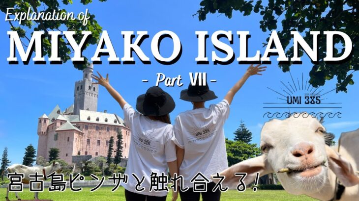 子供も一緒に楽しめる!動物と異国に触れ合える旅【宮古島】ep34